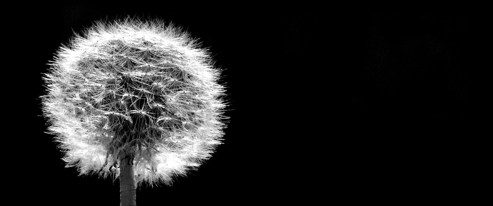 Platz 7 Peter Marion